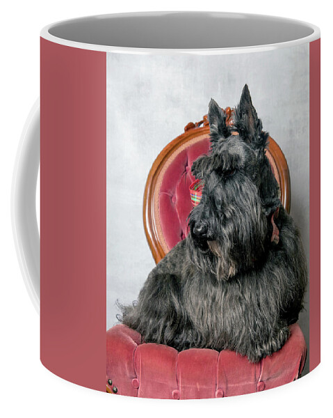 Nature'spet Coffee Mug featuring the photograph Thornton #2 by Rebecca Cozart