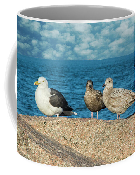 Gulls Coffee Mug featuring the photograph Three On The Rocks by Cathy Kovarik