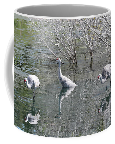 Three Sandhill Cranes Coffee Mug featuring the photograph Three Sandhills through the Pond by Carol Groenen
