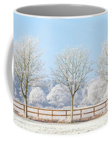 Landscape Coffee Mug featuring the photograph Three winter trees and frozen fence by Simon Bratt