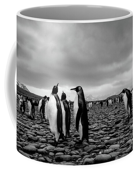 Salisbury Plain Coffee Mug featuring the photograph Threesome by Patti Schulze