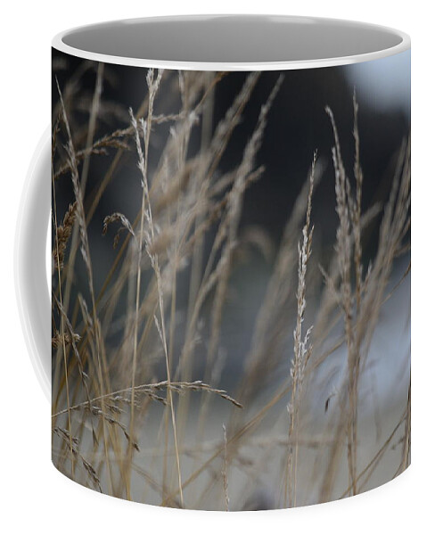 Grasses Coffee Mug featuring the photograph Through the Grasses by Bonnie Bruno
