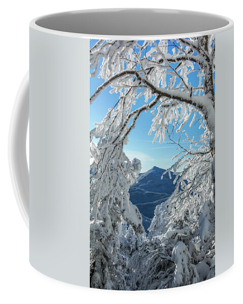 New Hampshire Coffee Mug featuring the photograph Through the Trees by White Mountain Images