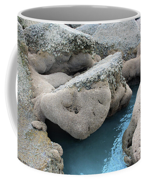 Megan Dirsa-dubois Coffee Mug featuring the photograph Tidal Pool 1 by Megan Dirsa-DuBois