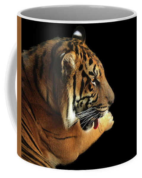 Tiger Coffee Mug featuring the photograph Tiger on Black by Alison Frank