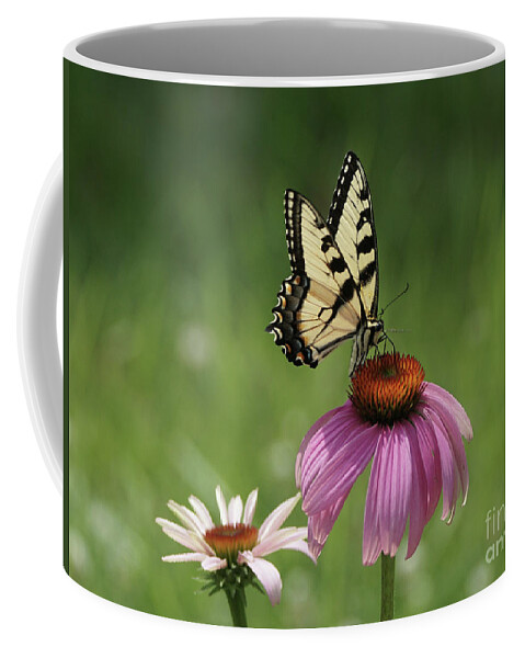 Butterfly Coffee Mug featuring the photograph Tiger Swallowtail Butterfly and Coneflowers by Robert E Alter Reflections of Infinity