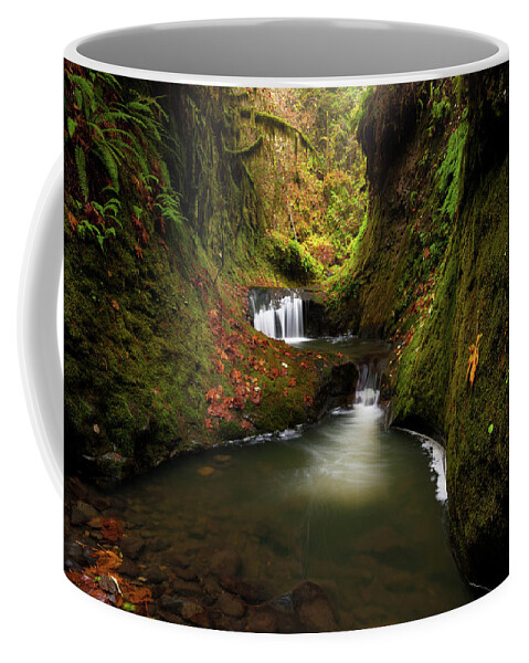 Landscape Coffee Mug featuring the photograph Tire Creek Canyon by Andrew Kumler