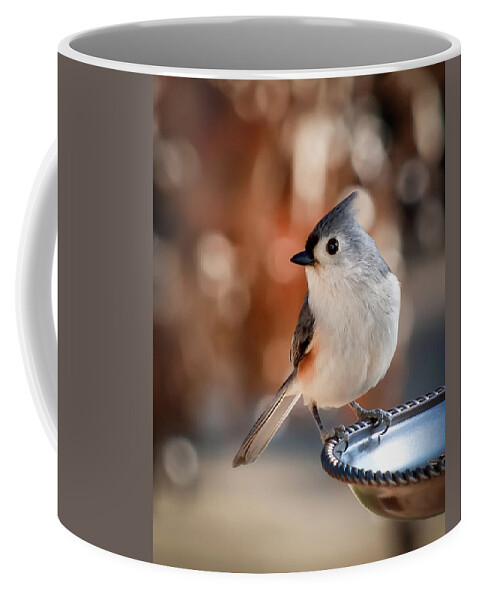 Titmouse Coffee Mug featuring the photograph Titmouse by James Barber
