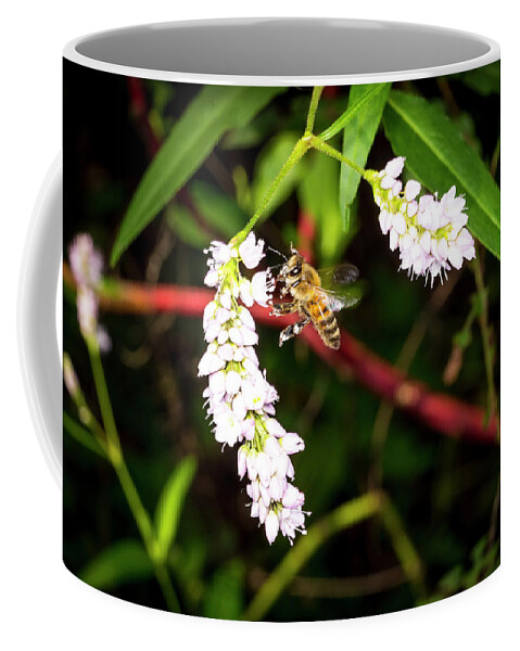 Honey Coffee Mug featuring the photograph To Bee or Not to Bee by David Morefield