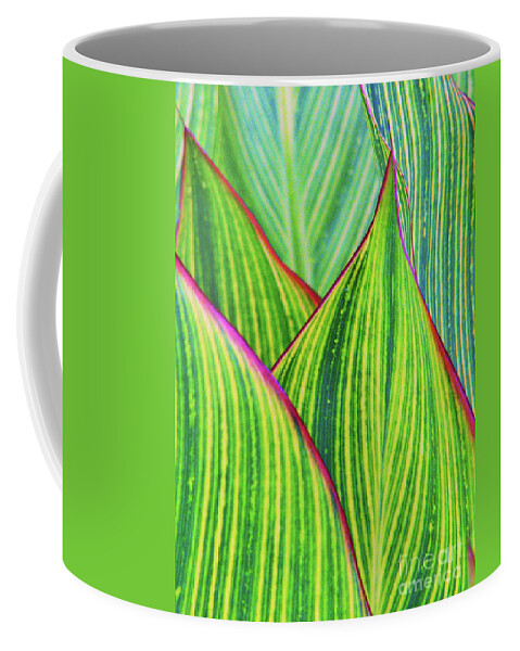 Foliage Coffee Mug featuring the photograph To The Point by Sharon Williams Eng