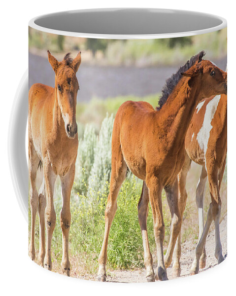 Nevada Coffee Mug featuring the photograph Togetherness by Marc Crumpler