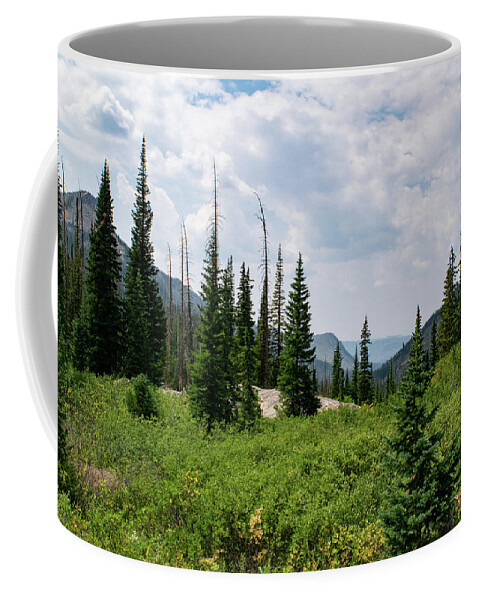 Mountain Coffee Mug featuring the photograph Trail to Gilpin Lake by Nicole Lloyd