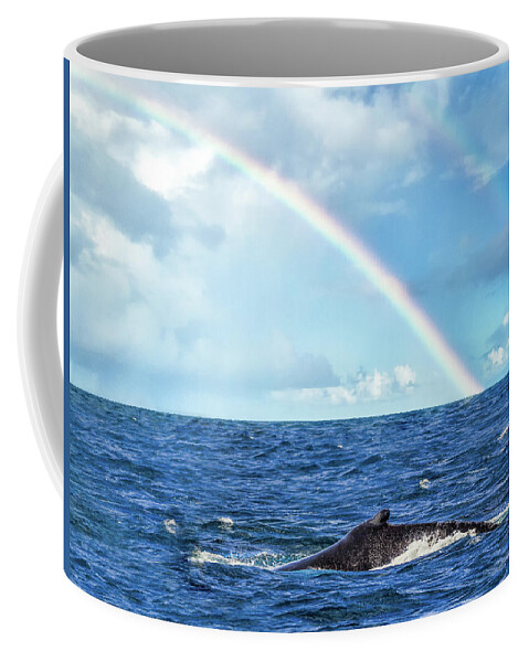 Traveling Their Path In The Sea Coffee Mug featuring the photograph Traveling by Louise Lindsay