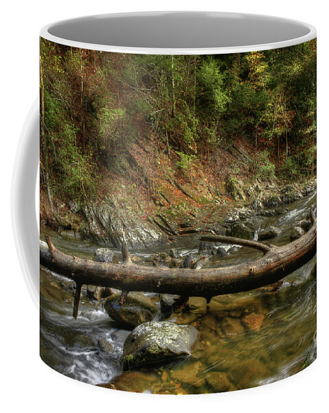 Tree Coffee Mug featuring the photograph Tree Across The River by Mike Eingle