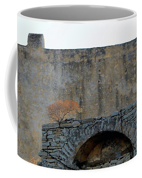 Symi Coffee Mug featuring the photograph Tree and Old Wall by Jonathan Thompson