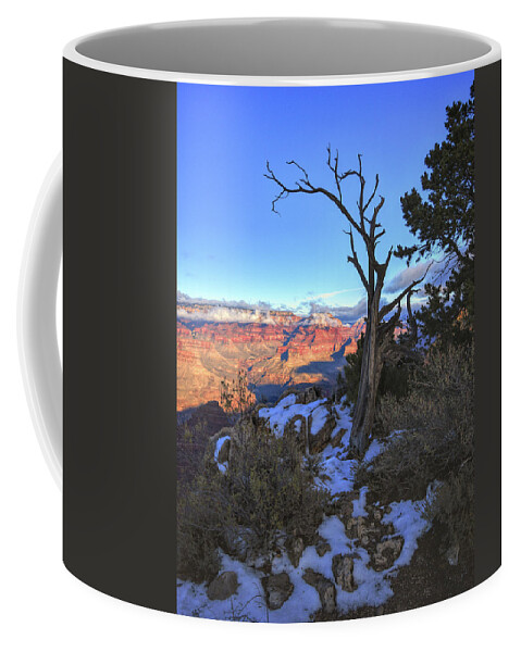 Grand Canyon Coffee Mug featuring the photograph Tree Frames the Grand Canyon by Chance Kafka