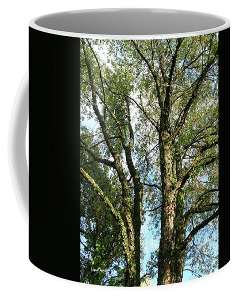 Trees Coffee Mug featuring the photograph Tree Series 2 by Diane Chandler