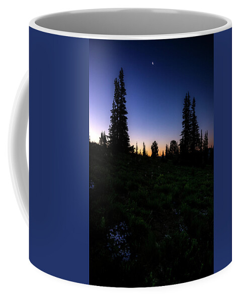 Tree Coffee Mug featuring the photograph Tree Silhouette Sunrise 2 by Pelo Blanco Photo