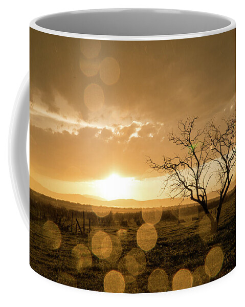 Sunset Coffee Mug featuring the photograph Tree Sunset by Wesley Aston