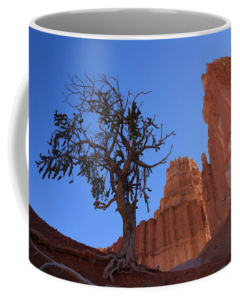 Desert Coffee Mug featuring the photograph Tree Tower by Ivan Franklin