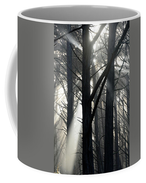 Fog Coffee Mug featuring the photograph Trees and Fog by Janet Kopper