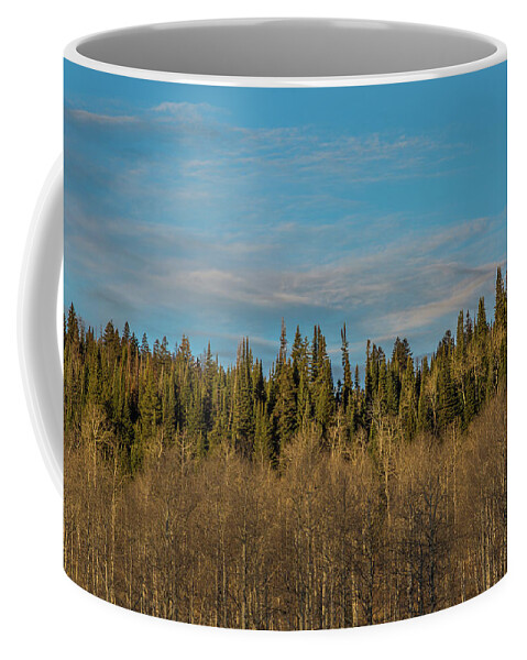Trees Coffee Mug featuring the photograph Treescape, Wyoming by Julieta Belmont