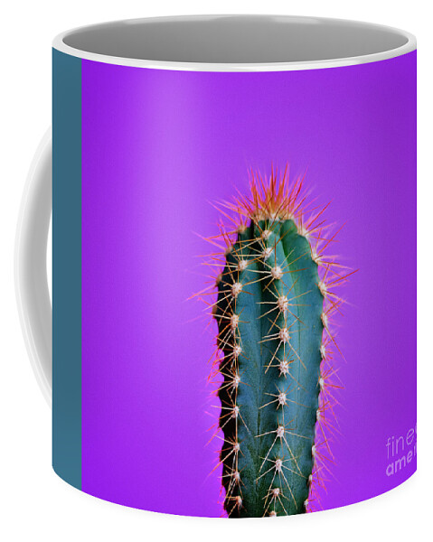 Cactus Coffee Mug featuring the photograph Trendy neon cactus closeup over bright purple pastel background. by Jelena Jovanovic