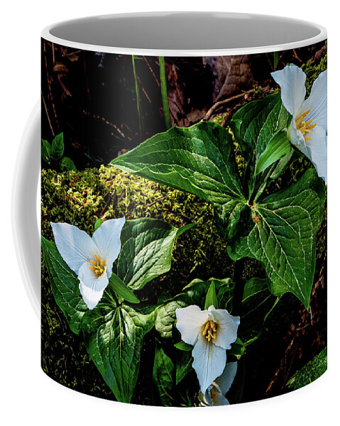 Flowers Coffee Mug featuring the photograph Trillium Three by Claude Dalley