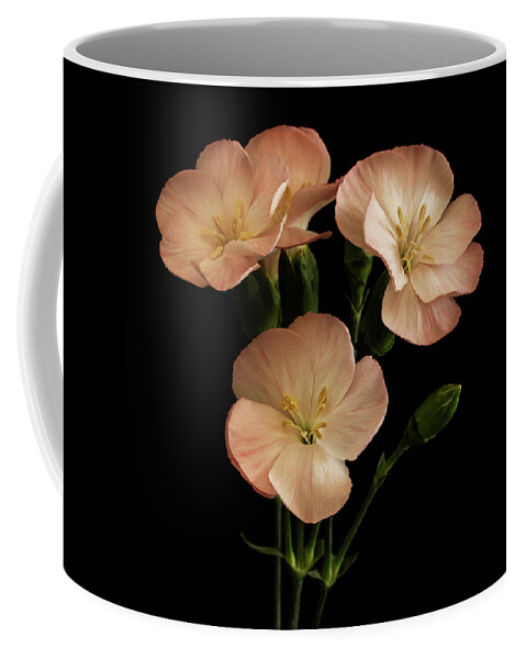Flowers Coffee Mug featuring the photograph Trio in Pink by Cheryl Day