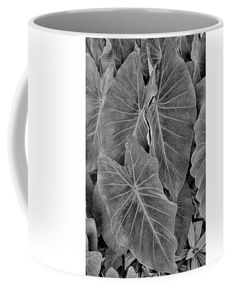 Tropical Coffee Mug featuring the photograph Tropical Plantation Maui Study 18 by Robert Meyers-Lussier