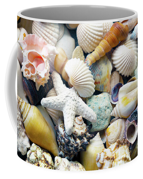 Seashells Coffee Mug featuring the photograph Tropical Treasure Seashells B91218 by Mas Art Studio