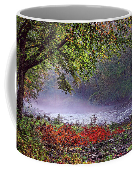 Catskill Mountains Coffee Mug featuring the photograph Trout Stream in Autumn by Cordia Murphy