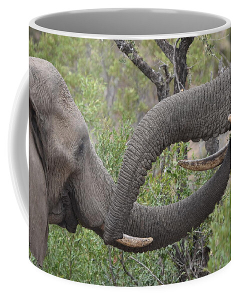 Elephant Coffee Mug featuring the photograph Trunk Shake by Ben Foster