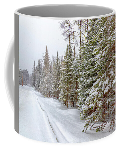 Pines Coffee Mug featuring the photograph Tug Hill Pines by Rod Best