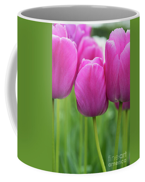 Tulips Coffee Mug featuring the photograph Tulip Purple Pride Flowers by Tim Gainey