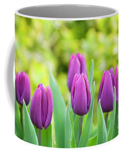 Tulips Coffee Mug featuring the photograph Tulip Purple Prince Flowers by Tim Gainey