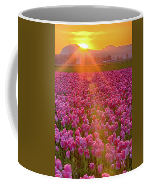 Flower Coffee Mug featuring the photograph Tulip Sunset by Briand Sanderson