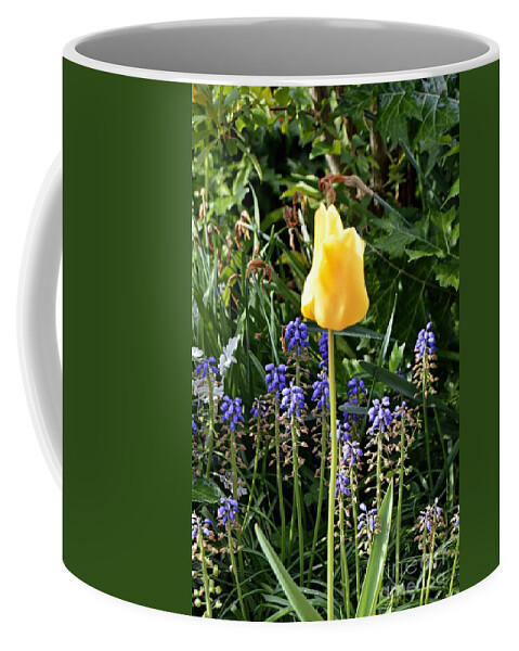 Flower Coffee Mug featuring the photograph Tulip by Thomas Schroeder