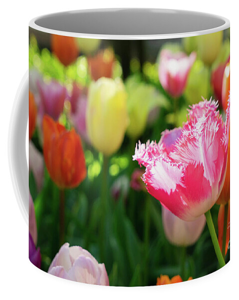 Tulips Coffee Mug featuring the photograph Tulips Bloom #1 by Anastasy Yarmolovich
