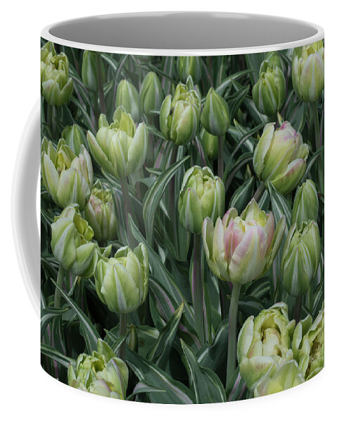 Tulips Coffee Mug featuring the photograph Tulips Galore by Eleanor Bortnick