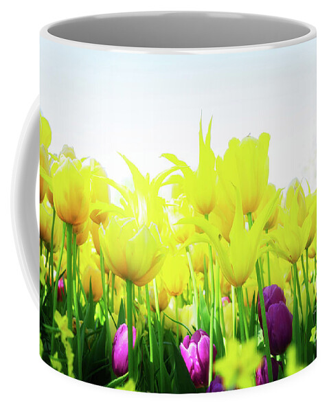 Tulips Coffee Mug featuring the photograph Tulips garden Flowerbed by Anastasy Yarmolovich