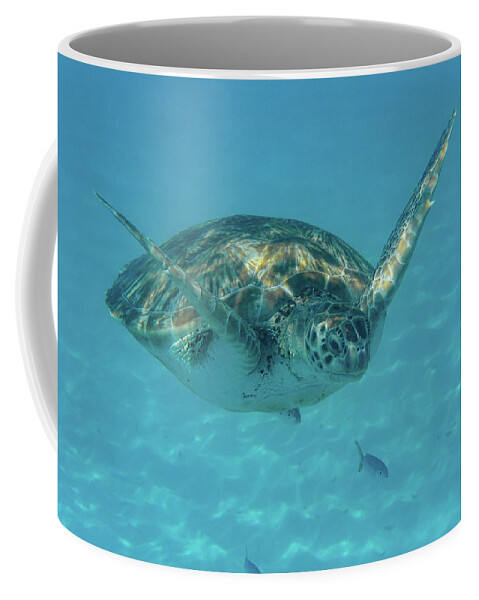 Turtle Coffee Mug featuring the photograph Turtle Approaching by Mark Hunter