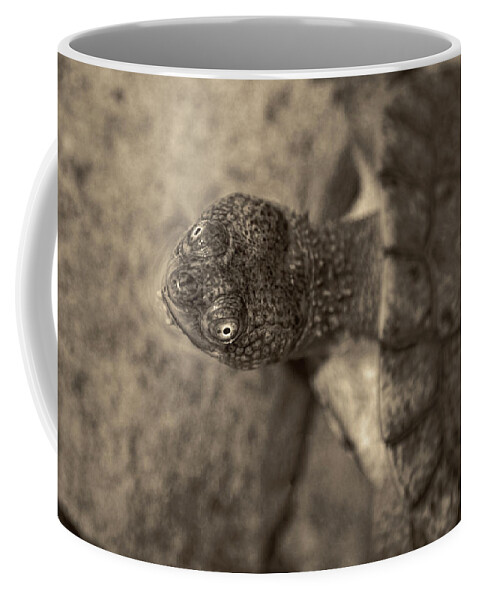 Turtle Coffee Mug featuring the photograph Turtle Eyes by Bj S