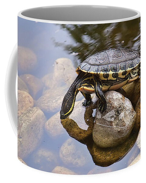 Turtle Coffee Mug featuring the photograph Turtle drinking water by Tatiana Travelways