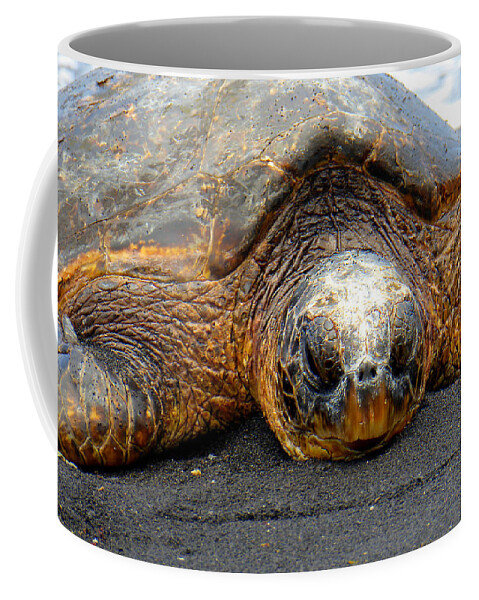 Hawaii Coffee Mug featuring the photograph Turtle Rest Stop by John Bauer