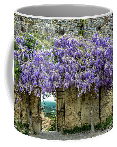 Tuscany Coffee Mug featuring the photograph Tuscan Wisteria by David Meznarich