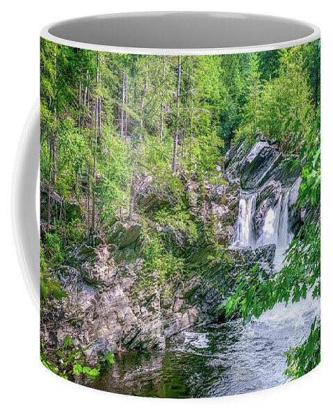 Waterfall Coffee Mug featuring the photograph Twin Falls by Mike Whalen