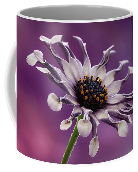 Floral Coffee Mug featuring the photograph Twists and Turns by Shirley Mitchell