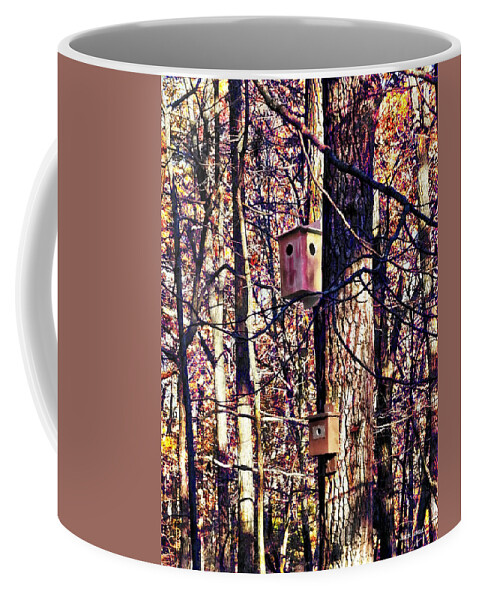 Autumn Coffee Mug featuring the photograph Two Birdhouses in the Autumn Woods by Susan Savad