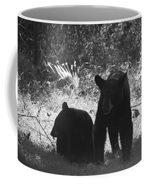 Florida Coffee Mug featuring the photograph Two Black Bears by Lindsey Floyd